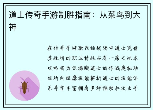 道士传奇手游制胜指南：从菜鸟到大神